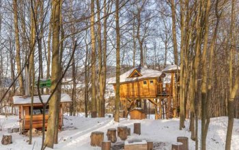 Ubytování v tree housu s vlastní saunou