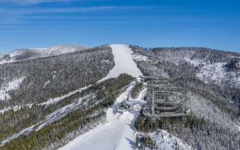 Ubytování v tree housu s vlastní saunou