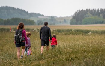 Ubytování v tree housu s vlastní saunou