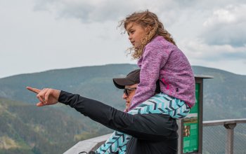Ubytování v tree housu s vlastní saunou