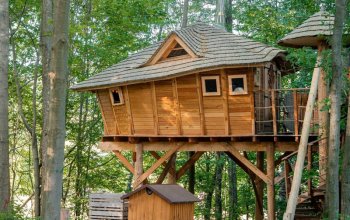 Ubytování v tree housu s vlastní saunou