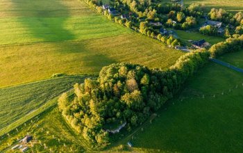 Ubytování v tree housu s vlastní saunou
