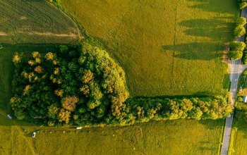 Ubytování v tree housu s vlastní saunou