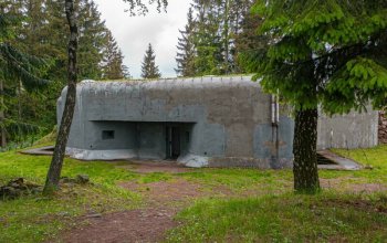 Ubytování v tree housu s vlastní saunou