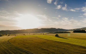 Ubytování v tree housu s vlastní saunou