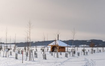 Ubytování v tree housu s vlastní saunou