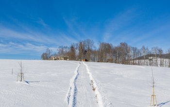 Ubytování v tree housu s vlastní saunou