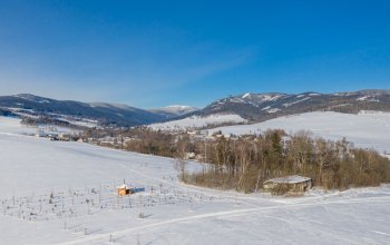 Ubytování v tree housu s vlastní saunou