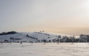 Ubytování v tree housu s vlastní saunou