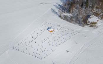 Ubytování v tree housu s vlastní saunou