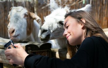 Venkovní úniková hra Pražská ZOO Praha