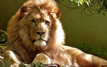 Venkovní úniková hra Pražská ZOO Praha