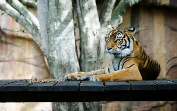 Venkovní úniková hra Pražská ZOO Praha