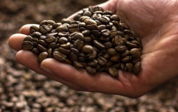 Degustace kávy v pohodlí domova Celá ČR