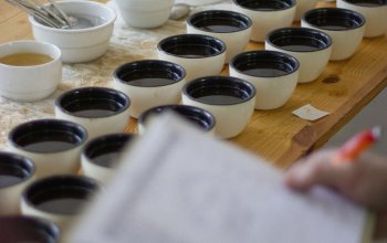 Degustace kávy v pohodlí domova Celá ČR