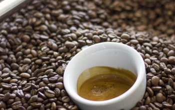 Degustace kávy v pohodlí domova Celá ČR