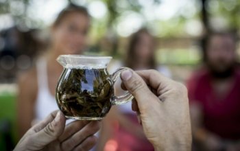 Online kurz čajový sommeliér Celá ČR