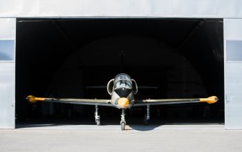 Let stíhačkou L-39 Albatros