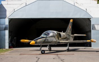 Let stíhačkou L-39 Albatros