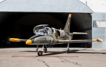 Let stíhačkou L-39 Albatros