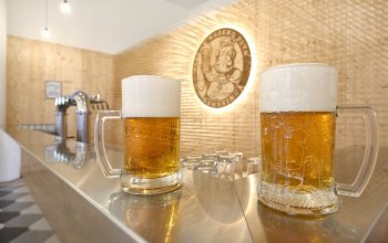Prohlídka pivovaru Gambrinus s ochutnávkou