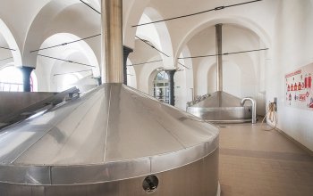 Prohlídka pivovaru Gambrinus s ochutnávkou