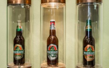 Prohlídka pivovaru Radegast s ochutnávkou