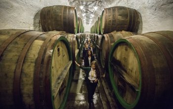 Škola čepování piva Pilsner Urquell + prohlídka pivovaru
