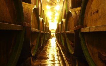 Škola čepování piva Pilsner Urquell + prohlídka pivovaru
