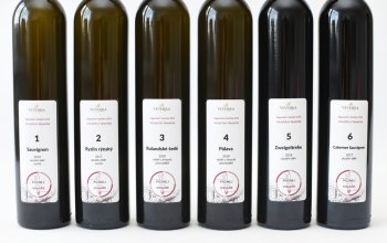Degustační balíček 6 vín z vinařství Veverka Celá ČR