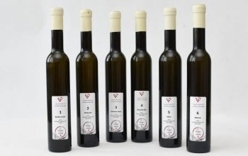Degustační balíček 6 vín z vinařství Očenášek Celá ČR
