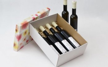 Degustační balíček 6 vín z vinařství Očenášek Celá ČR