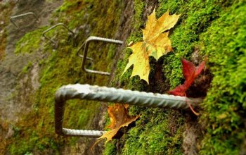 Via ferrata se zkušeným instruktorem