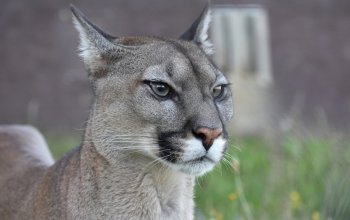 Ošetřovatelem v zoo na jeden den + nocování