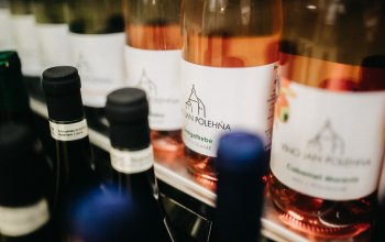 Domácí degustace moravských vín + bedna 6 lahví…