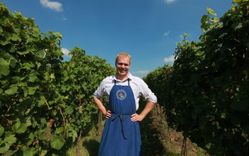Domácí degustace moravských vín + bedna 6 lahví…