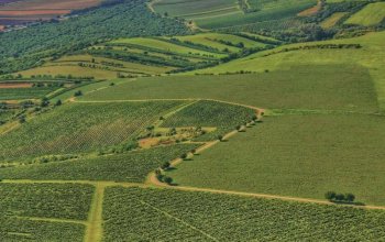 Vyhlídkový let letadlem nad krásami ČR