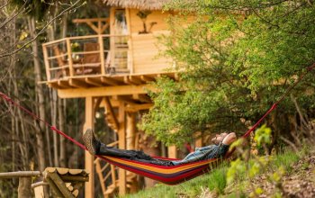 Ubytování v treehousu s výhledem na Ještěd