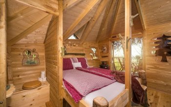Ubytování v treehousu s výhledem na Ještěd