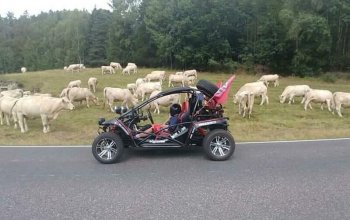 Pronájem silniční buggy až na 4 hodiny Praha