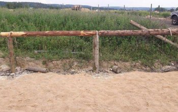 Farmářem na zkoušku aneb den s koňmi