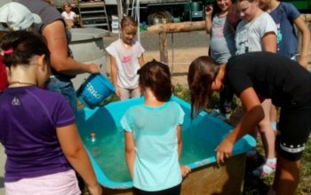 Farmářem na zkoušku aneb den s koňmi