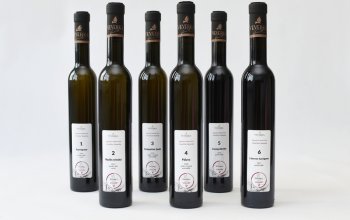 Degustační balíček 6 vín z vinařství Veverka Celá…