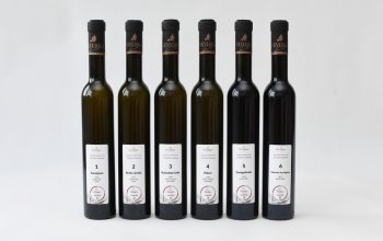 Degustační balíček 6 vín z vinařství Veverka Celá…
