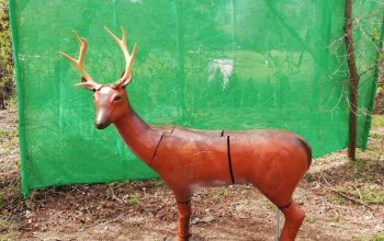 Pirátí zátoka: 3D lukostřelba pro děti i dospělé Praha