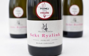 Dárkové balení vína: 4 láhve sektu