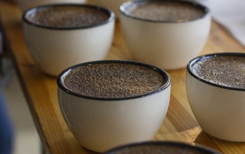 Degustace kávy v pohodlí domova