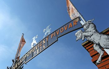 Prohlídka pivovaru Velké Popovice s ochutnávkou