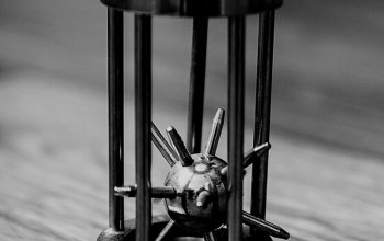 Úniková hra: Ježek v kleci