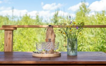 Ubytování v treehousu s bohatou snídaní